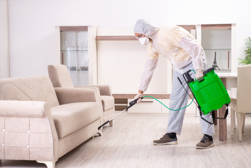keep pests out of your rental properties in new orleans